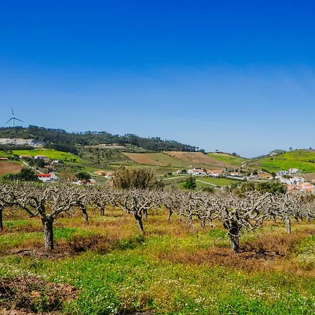Traditional Portuguese Village House - Casa Martins No 52 Freiria Exterior photo