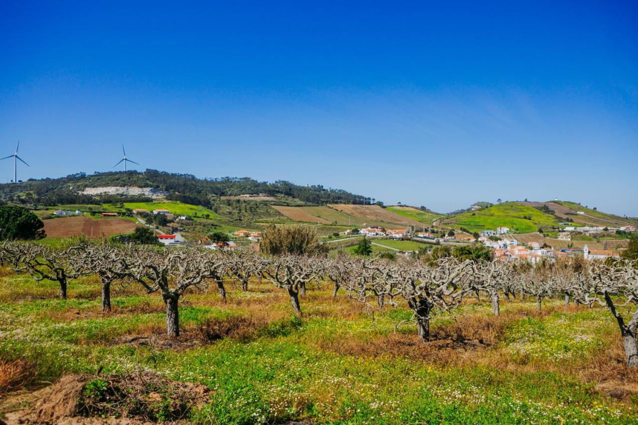 Appartamento Traditional Portuguese - Casa Martins No 52 Freiria